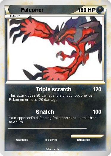 Pokemon Falconer