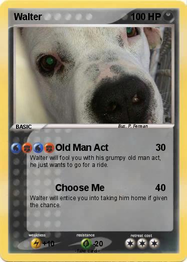 Pokemon Walter
