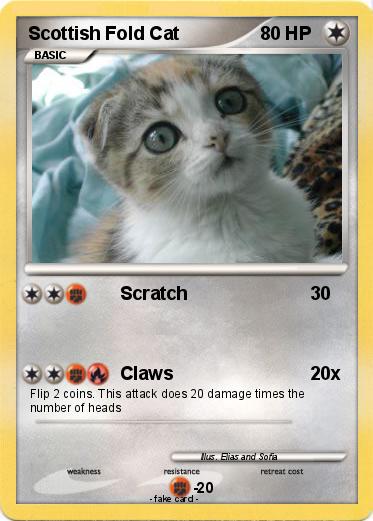 Pokemon Scottish Fold Cat