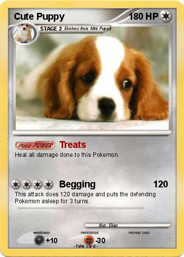Pokemon Cute Puppy
