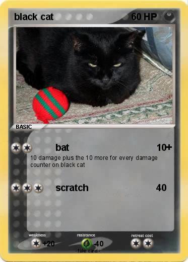 Pokemon black cat