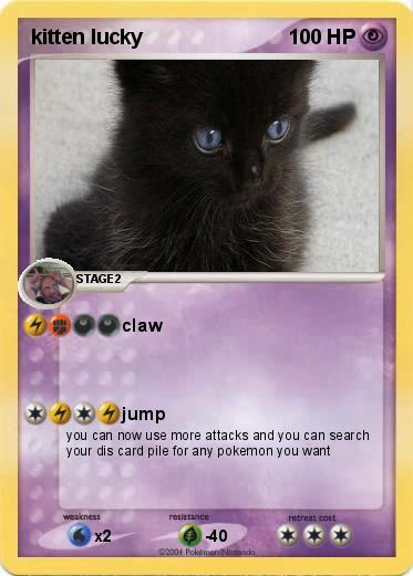 Pokemon kitten lucky