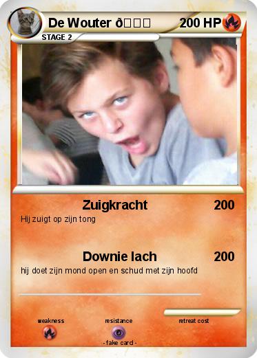 Pokemon De Wouter ????