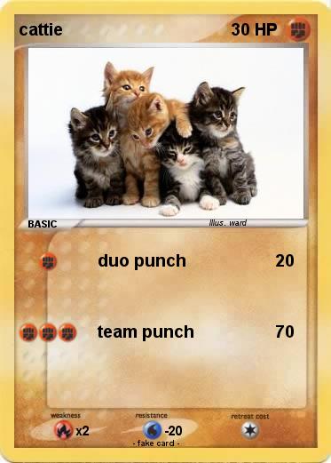 Pokemon cattie
