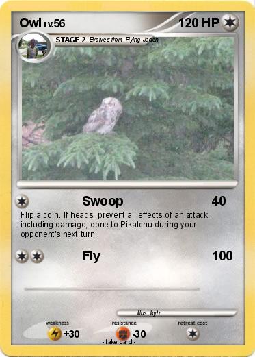 Pokemon Owl