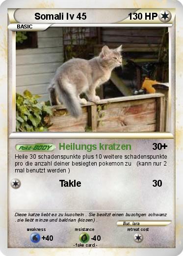 Pokemon Somali lv 45