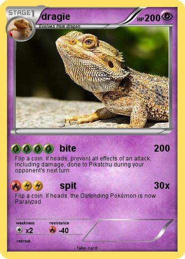 Pokemon dragie