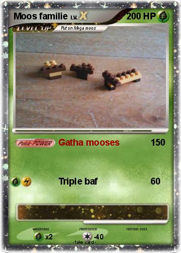 Pokemon Moos familie