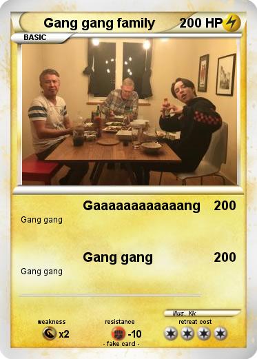 Pokemon Gang gang family