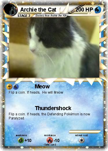 Pokemon Archie the Cat