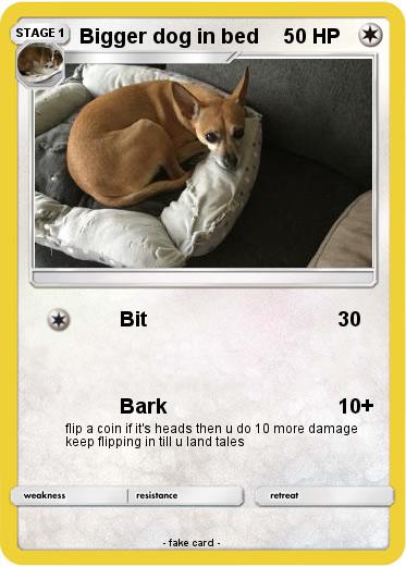 Pokemon Bigger dog in bed