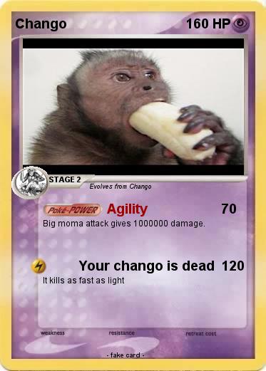 Pokemon Chango