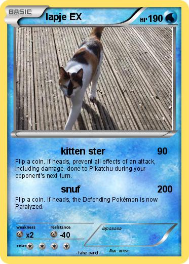 Pokemon lapje EX