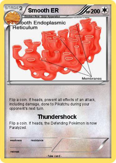 Pokemon Smooth ER