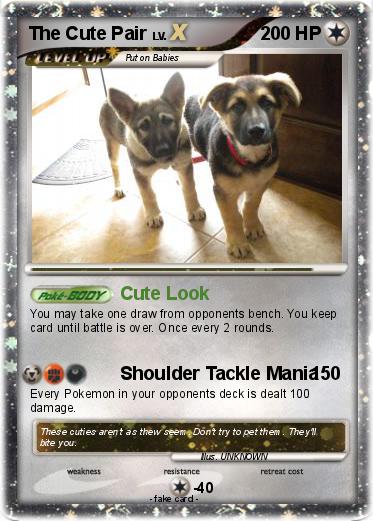 Pokemon The Cute Pair
