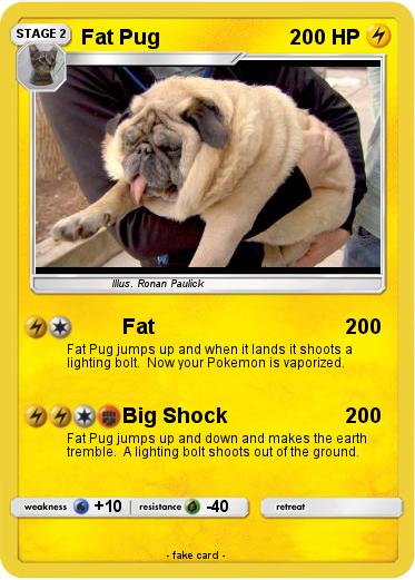 Pokemon Fat Pug