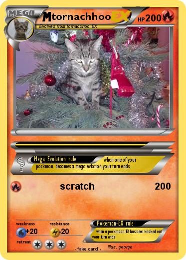Pokemon tornachhoo