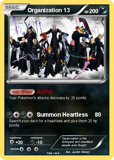 Pokemon Organization 13