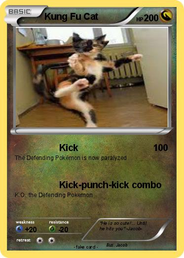 Pokemon Kung Fu Cat