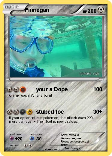 Pokemon Finnegan