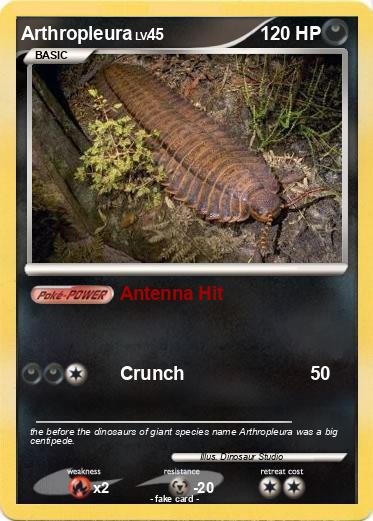 Pokemon Arthropleura