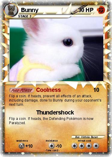 Pokemon Bunny