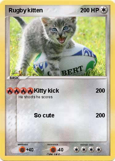 Pokemon Rugby kitten