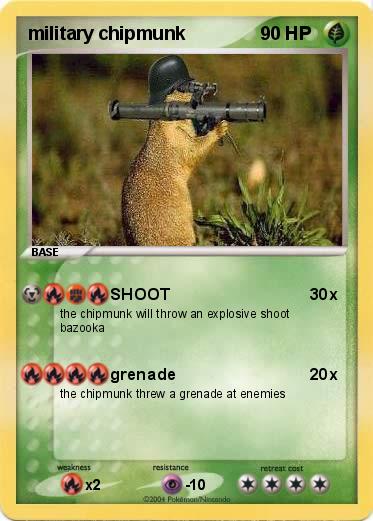 Pokemon military chipmunk