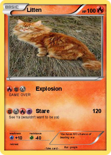 Pokemon Litten