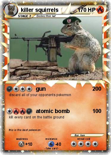 Pokemon killer squirrels
