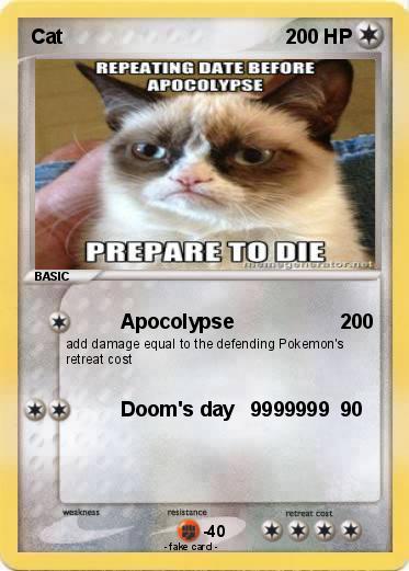 Pokemon Cat