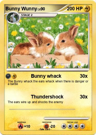 Pokemon Bunny Wunny