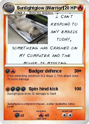 Pokemon Sunlightglow (Warrior)