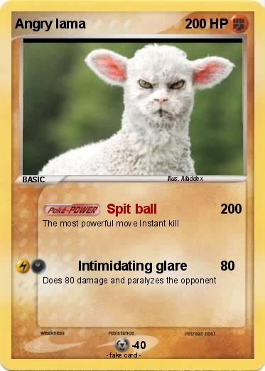 Pokemon Angry lama