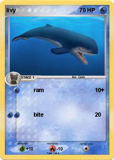 Pokemon livy