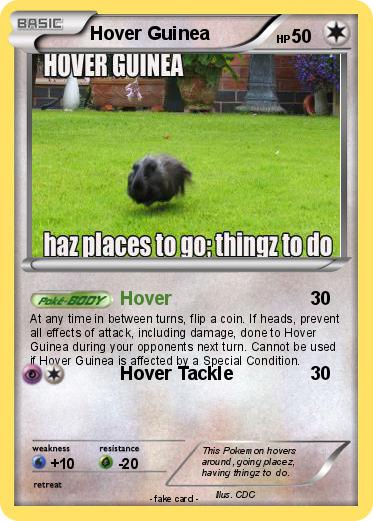 Pokemon Hover Guinea