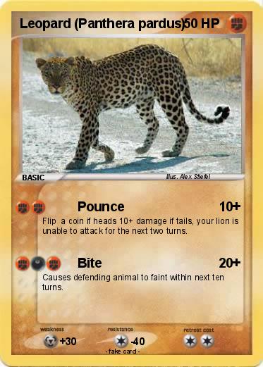 Pokemon Leopard (Panthera pardus)