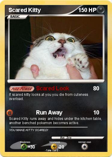 Pokemon Scared Kitty