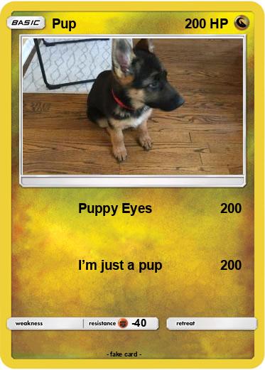 Pokemon Pup