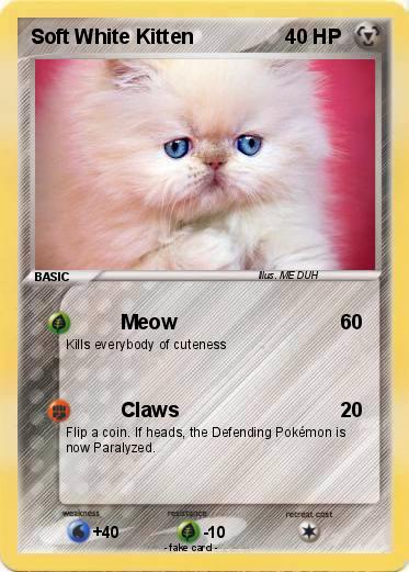 Pokemon Soft White Kitten