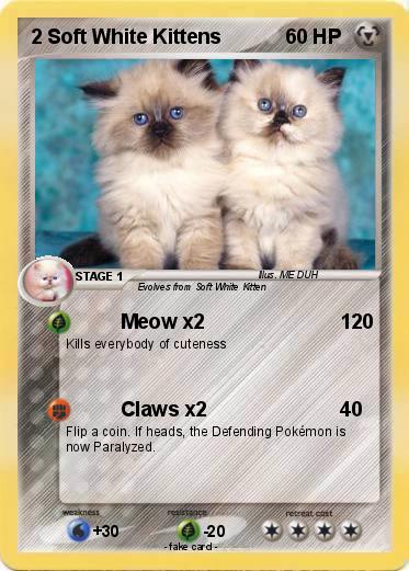Pokemon 2 Soft White Kittens