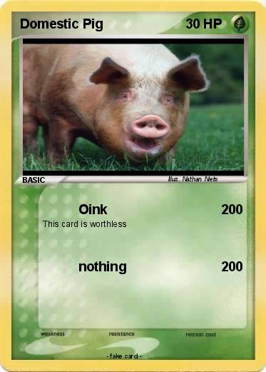 Pokemon Domestic Pig