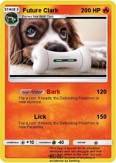 Pokemon Future Clark