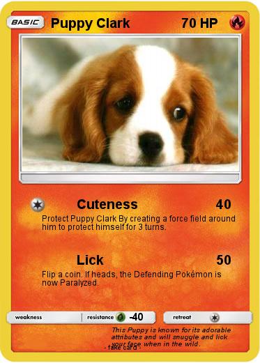 Pokemon Puppy Clark