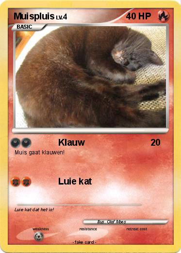 Pokemon Muispluis