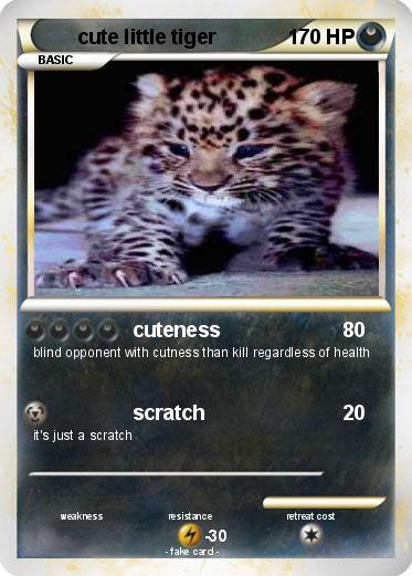 Pokemon cute little tiger