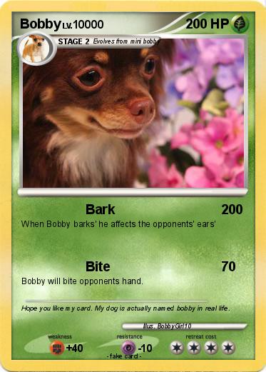Pokemon Bobby