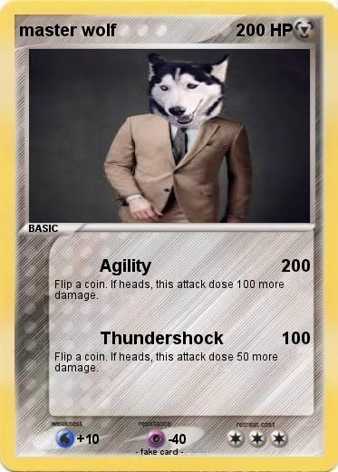 Pokemon master wolf