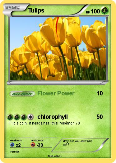 Pokemon Tulips