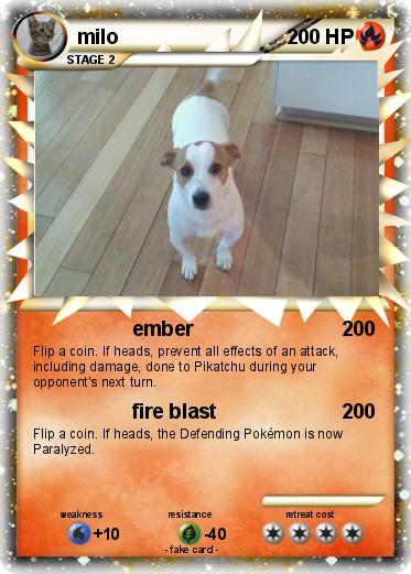 Pokemon milo